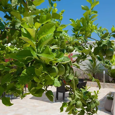 Bhagya 4* Галлиполи