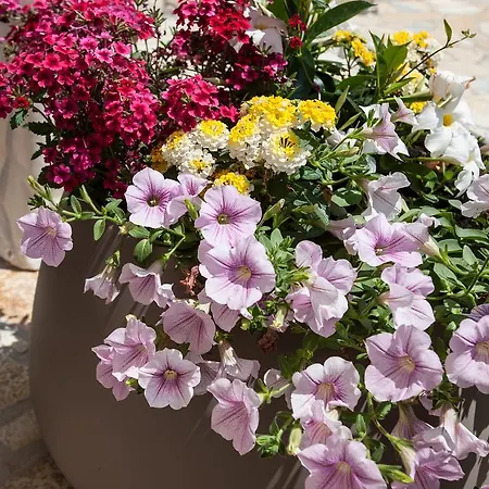 Maison d'hôtes Bhagya