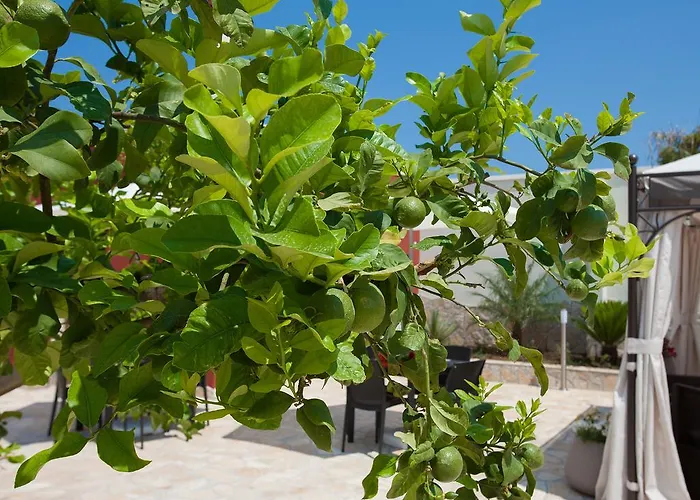 Bhagya 4* Gallipolli